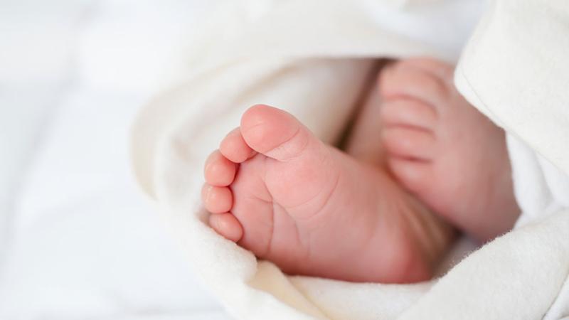 Image déclaration de naissance